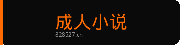 成人小说